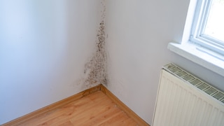 Wie sollte man die Möbel  richtig in der Wohnung aufstellen, damit Schimmel erst keine Chance hat?