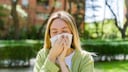 Allergie Pollen