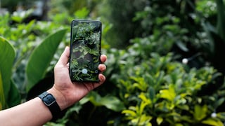 Lässt sich der Garten mit verschiedenen Apps verschönern?