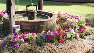 Ein Brunnen im eigenen Garten kann sehr praktisch sein, doch darf man ihn ohne weiteres bauen?