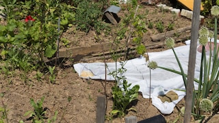 Alte Kleidung muss man nicht zwingend entsorgen, denn sie erfüllt im Garten einen Nutzen