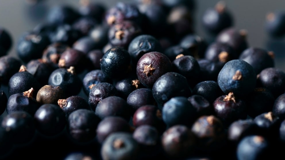 Wacholderbeeren kochen