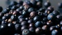 Wacholderbeeren kochen