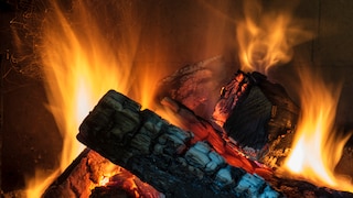 Wer in diesem Jahr Brennholz kaufen will, sollte wieder gut auf die Preise achten