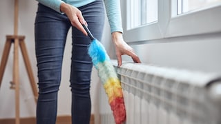 Auf Fensterbänken setzt sich besonders schnell Staub ab