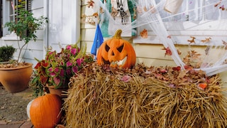 Halloween Dekoration