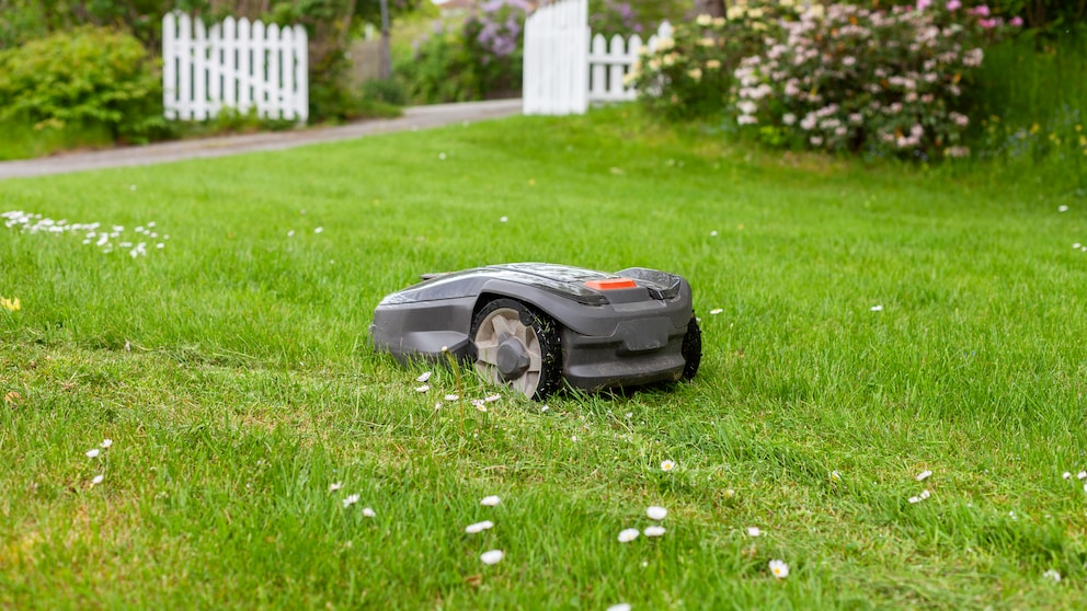 Mähroboter sind vergleichsweise leicht, können Boden und Rasen aber zusetzen