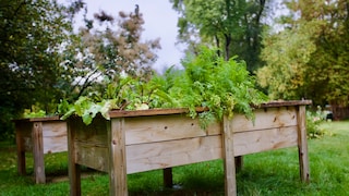 Hochbeet absacken