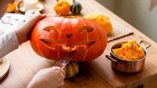 Herbstzeit ist Kürbiszeit: Ob als Püree, Suppe oder kreative Halloween-Deko, mit diesem vielseitigen Supergemüse lässt sich so einiges anstellen.