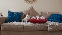 Hundehaftpflichtversicherung: Jack Russell Terrier auf zerstörter Couch