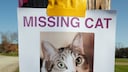 Ein Poster zeigt eine vermisste Katze