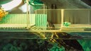 Eine Wasserschildkröte klettert zum Sonnen auf den Landteil ihres Aquariums