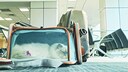 Ein Katze liegt in einer Transporttasche in der Abfertigungshalle
