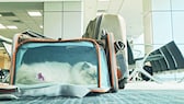 Ein Katze liegt in einer Transporttasche in der Abfertigungshalle
