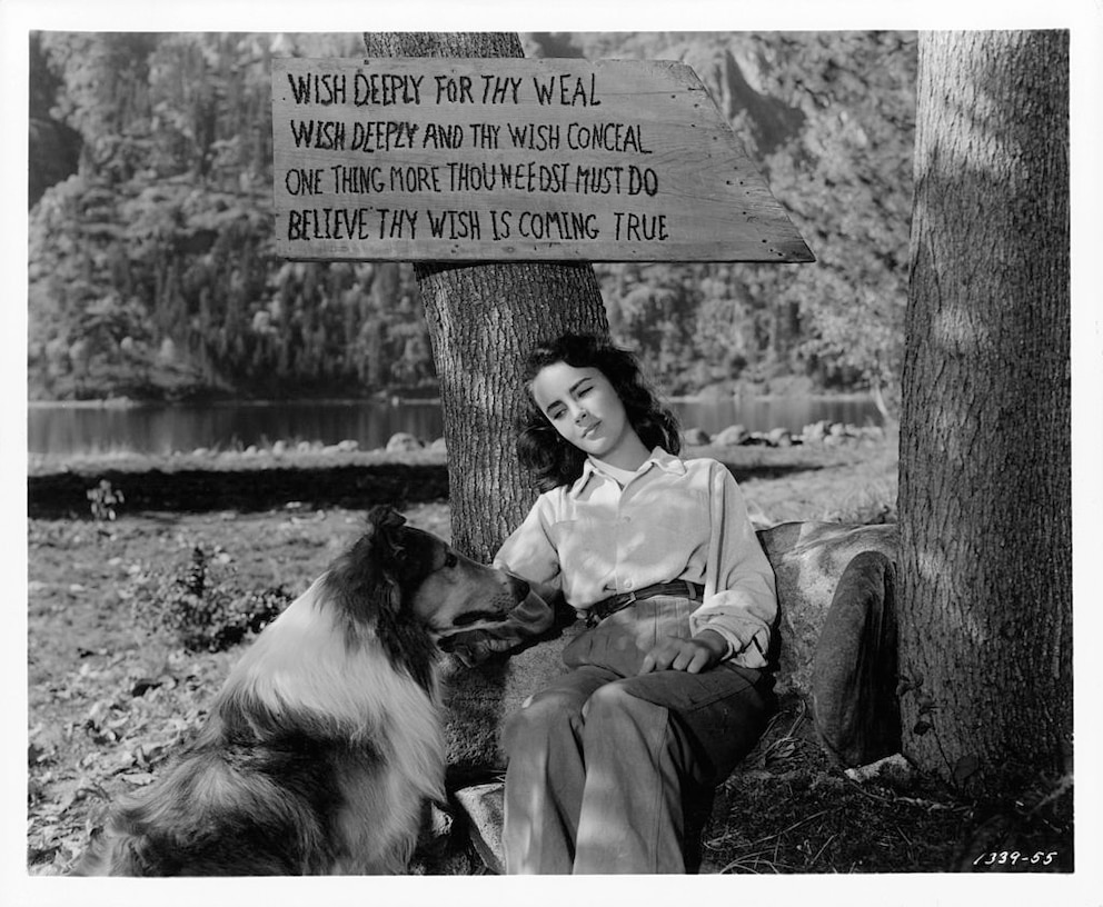 Berühmte Hunde: Lassie und Elizabeth Taylor