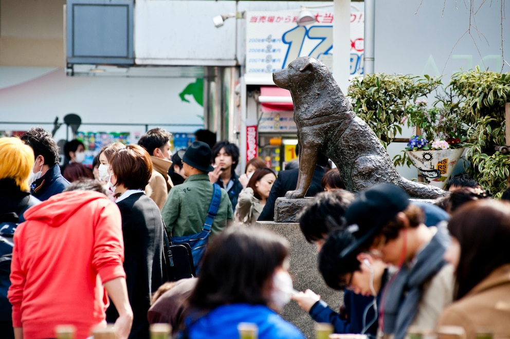 Berühmte Hunde: Hachiko