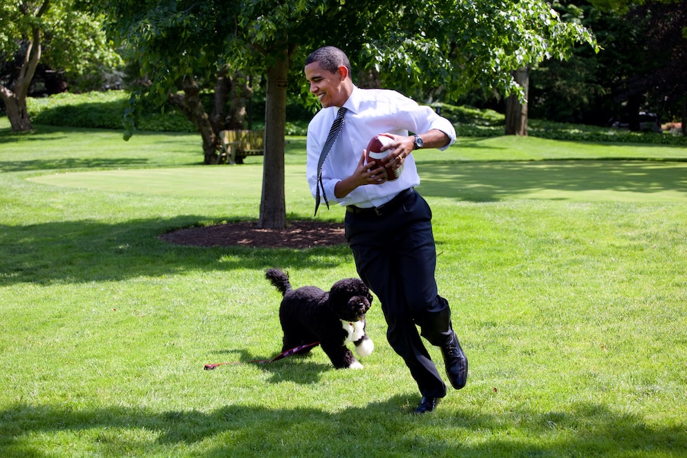 President Obama mit dem Familienhund Bo