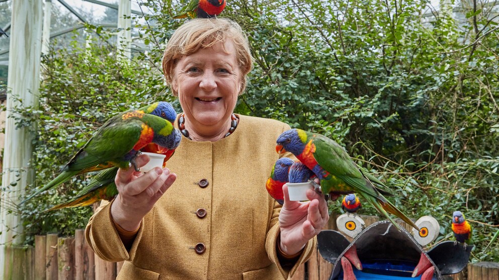 Angela Merkel besucht den Vogelpark Marlow