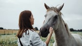 Mag mein Pferd mich, kann es Zuneigung zeigen? Eine Frau sucht Kontakt mit einem Schimmel