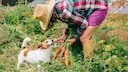 Frau gibt Hund Karotten