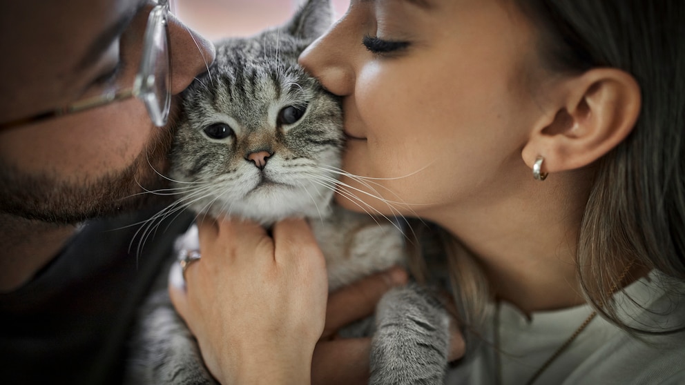 Ein Paar gibt ihrer Katze von zwei Seiten Küsschen