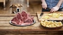 BARFen: Hund schaut auf Fleisch und Kartoffeln