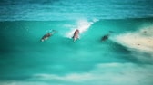 Delfine surfen durch Wellen im klaren Meerwasser