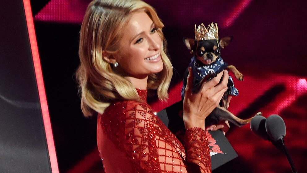 Paris Hilton sucht Hund