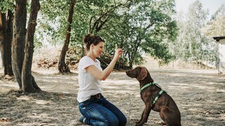 PETBOOK Dog School mit Verena Backhaus: Dem Hund Sitz beibringen