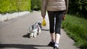 Eine Frau geht mit Kotbeutel in der Hand mit ihrem Hund spazieren