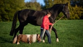 Carola Wiedemann unterwegs mit großen Pferd und Shetland Pony Pumuckel