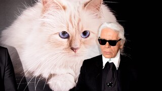 Karl Lagerfeld und Choupette