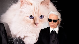 Karl Lagerfeld und Choupette