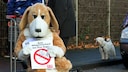 Aktivisten der Tierschutzorganisation "Peta" demonstrieren in Duisburg vor der Zoohandlung Zajac gegen den Verkauf von Hunden in Zoohandlungen.
