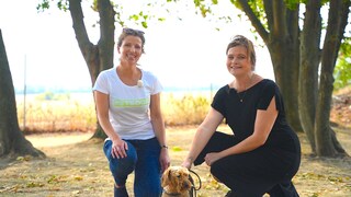 Dem Hund den Rückruf beibringen