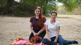 Deckentraining in der Dog School