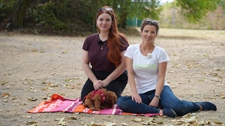 Deckentraining in der Dog School