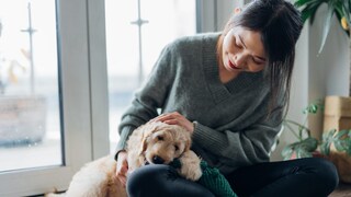 Frau streichelt und kuschelt mit Hund
