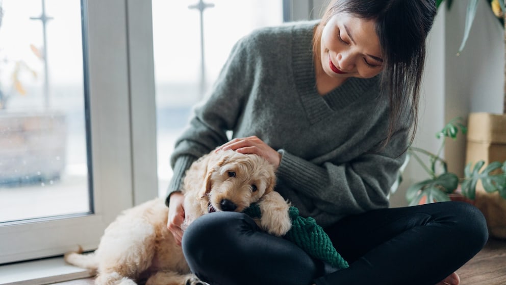 Frau streichelt und kuschelt mit Hund