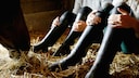 Personen mit Reitstiefel sitzen nebeneinander