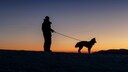 Ein Halter und sein Hund gehen im Dunklen Gassi