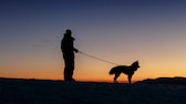 Ein Halter und sein Hund gehen im Dunklen Gassi