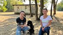 Hund Ängste abtrainieren