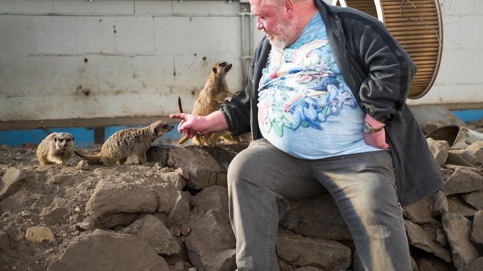 Norbert Zajac mit Erdmännchen