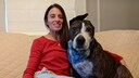 Van Gogh, der einohrige Hunde, malt Bilder mit der Zunge