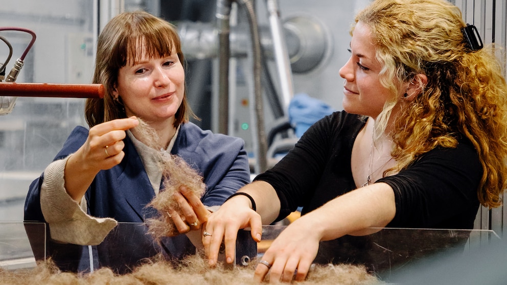 Die Gründerinnen von Chiengora Hundewolle inspizieren ihr Produkt