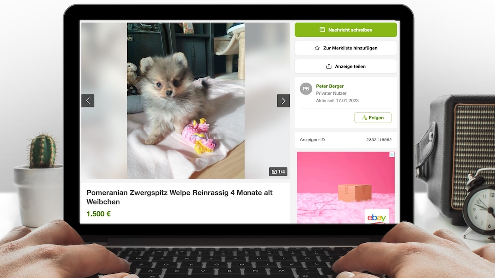 Verkaufsplattform:  Kleinanzeigen ändert seinen Namen - COMPUTER BILD