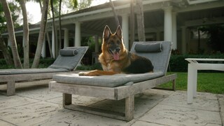 Gunther, der VI. liegt an einem Pool in seiner Luxusvilla