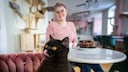 Eine Katze, die in einem Katzencafé lebt, schaut interessiert und leckt sich über die Schnauze