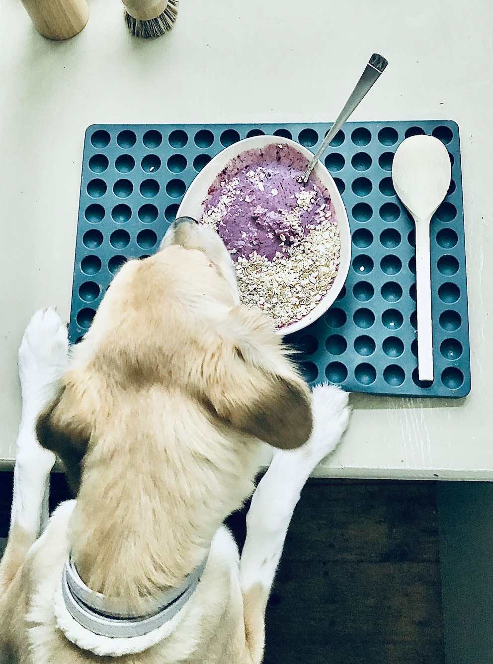 Leckerliteig auf Backmatte mit Hund, der sich darüber beugt